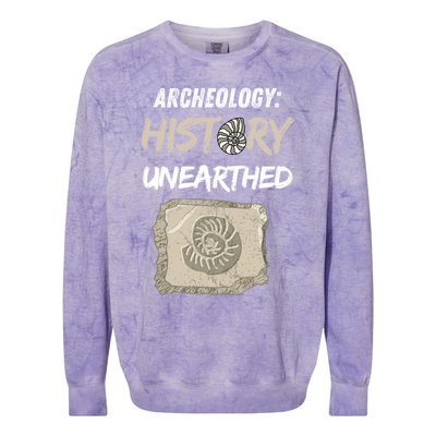 Gift Archeology Archeologists Archeologist Student Colorblast Crewneck Sweatshirt