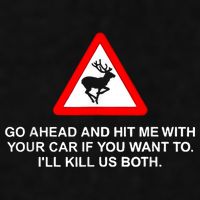 Go Ahead And Hit Me With Your Car If You Want To I’Ll Kill Us Both Ladies PosiCharge Tri-Blend Wicking Tank