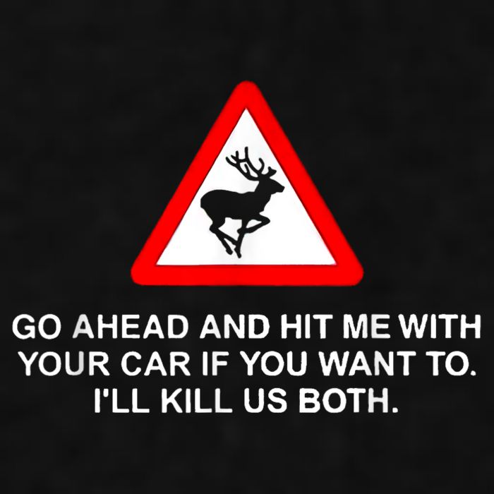 Go Ahead And Hit Me With Your Car If You Want To I’Ll Kill Us Both Ladies PosiCharge Tri-Blend Wicking Tank
