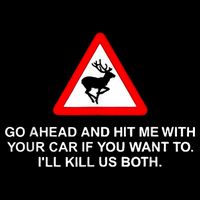 Go Ahead And Hit Me With Your Car If You Want To I’Ll Kill Us Both Tall T-Shirt