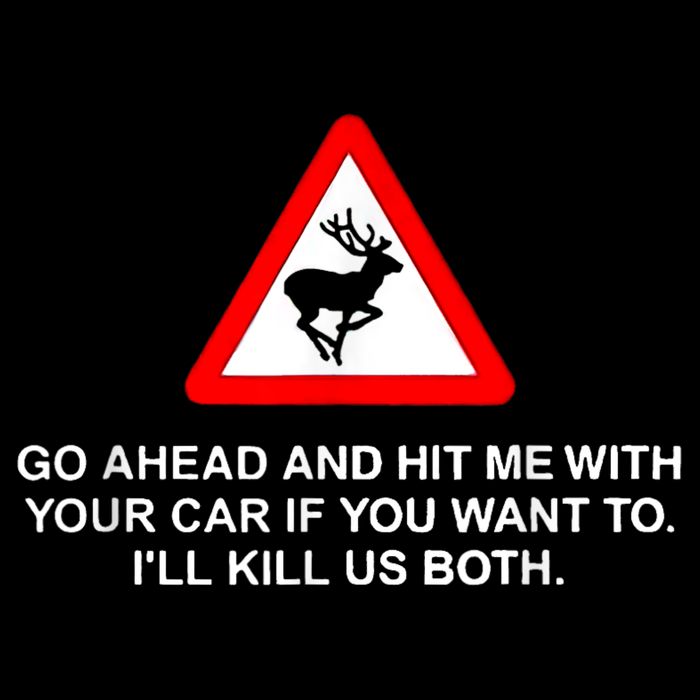 Go Ahead And Hit Me With Your Car If You Want To I’Ll Kill Us Both Womens Tank Top
