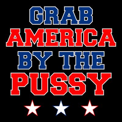 Grab America By The Pussy Donald Trump President T-Shirt