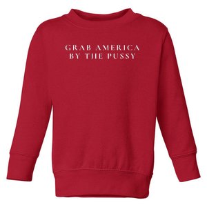 Grab America By The Pussy Toddler Sweatshirt