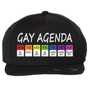 Gay Agenda Csd Pride Day Outfit Lesbian Lgbtq Lgbtq+ Meaningful Gift Wool Snapback Cap