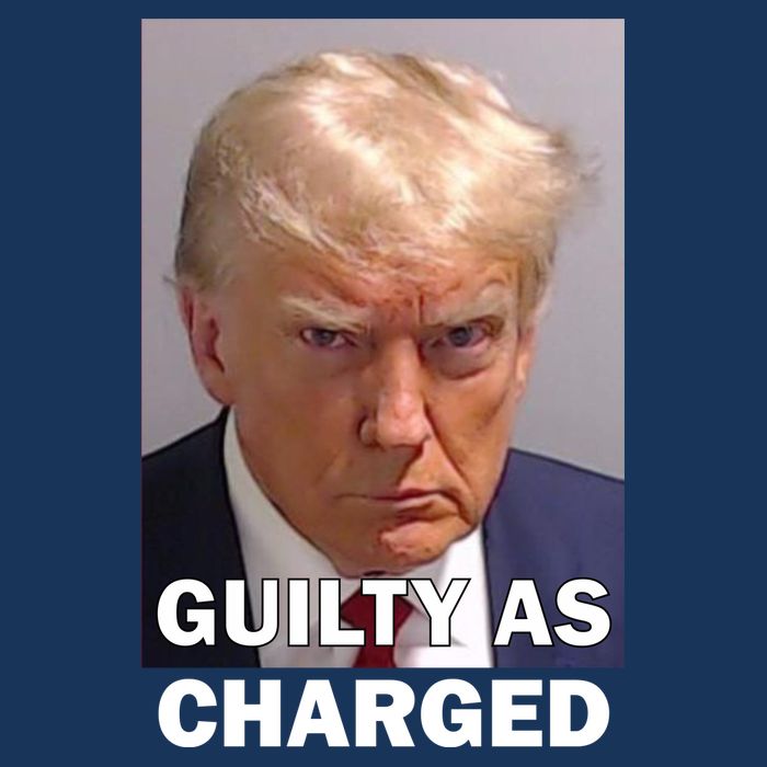 Guilty As Charge Trump Mugshot Poster