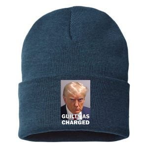 Guilty As Charge Trump Mugshot Sustainable Knit Beanie