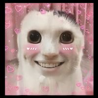 Goofy Ahh Cat Meme Dank Cursed Weirdcore Funny Dank Meme Mousepad