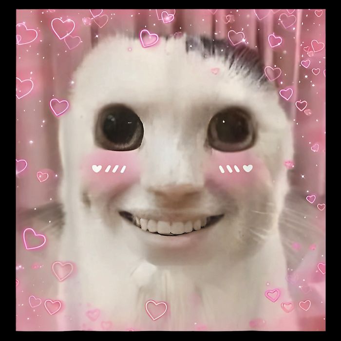 Goofy Ahh Cat Meme Dank Cursed Weirdcore Funny Dank Meme Mousepad