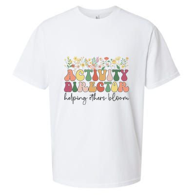 Groovy Activity Director Activity Professional Week Sueded Cloud Jersey T-Shirt