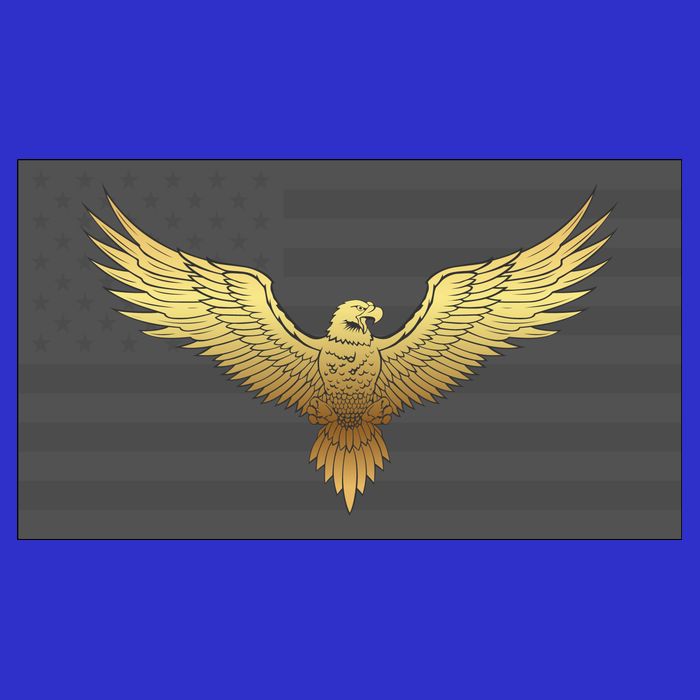 Gold American Eagle On Flag Visor