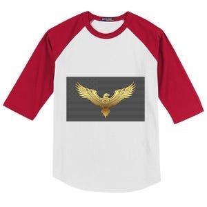 Gold American Eagle On Flag Kids Colorblock Raglan Jersey