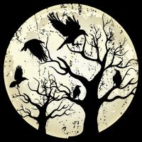 Gothic Animal Forest Bird Raven Creepy Night Moonlight Crow 16 in Basic Backpack