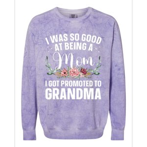 Grandma Art For Mom Women Grandmother Promoted To Grandma Colorblast Crewneck Sweatshirt