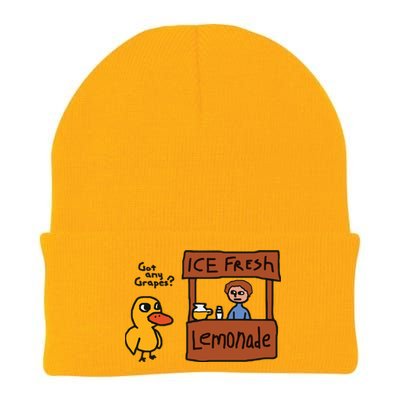 Got Any Grapes Duck Song Lemonade Knit Cap Winter Beanie