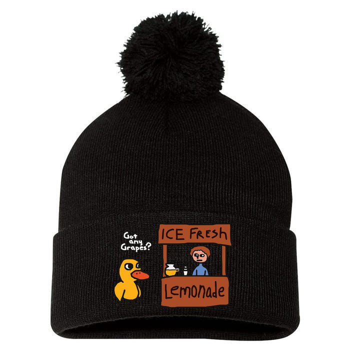 Got Any Grapes Duck Song Lemonade Pom Pom 12in Knit Beanie