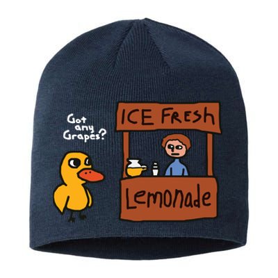 Got Any Grapes Duck Song Lemonade Sustainable Beanie