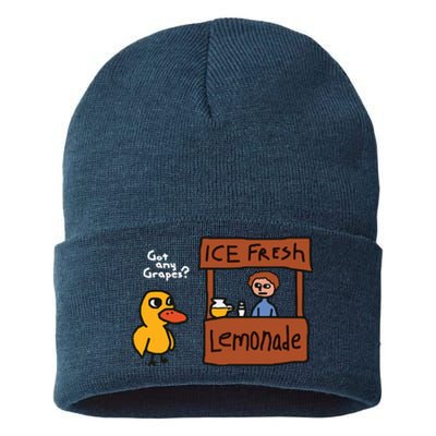 Got Any Grapes Duck Song Lemonade Sustainable Knit Beanie