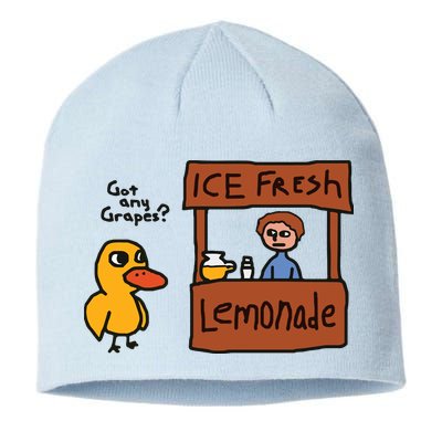 Got Any Grapes Funny Duck Ice Fresh Lemonade Sustainable Beanie