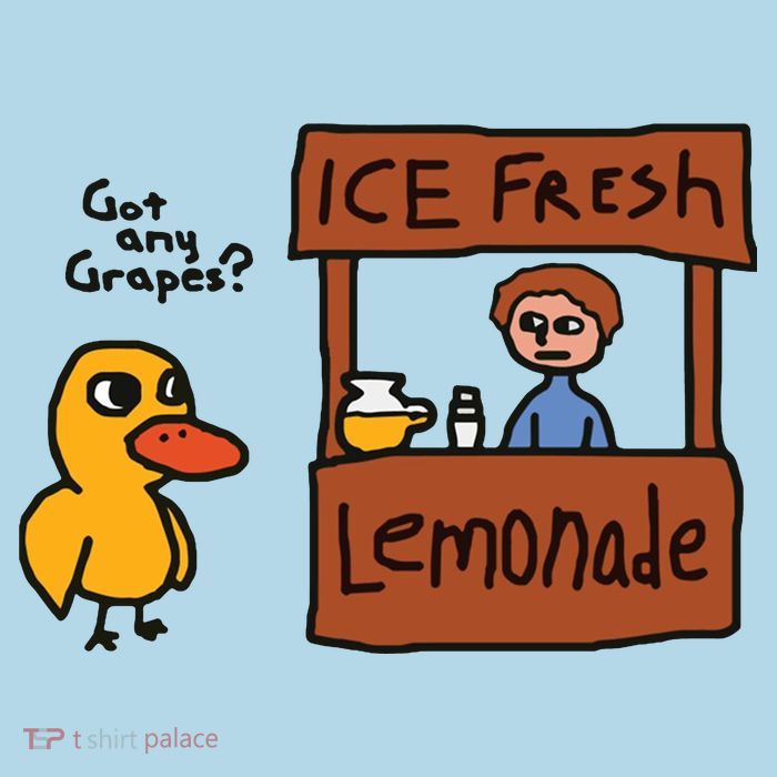 Got Any Grapes Funny Duck Ice Fresh Lemonade Sustainable Beanie