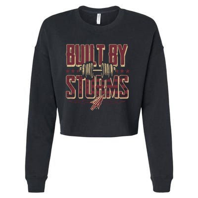 Garnet And Gold Built By Storms Cropped Pullover Crew