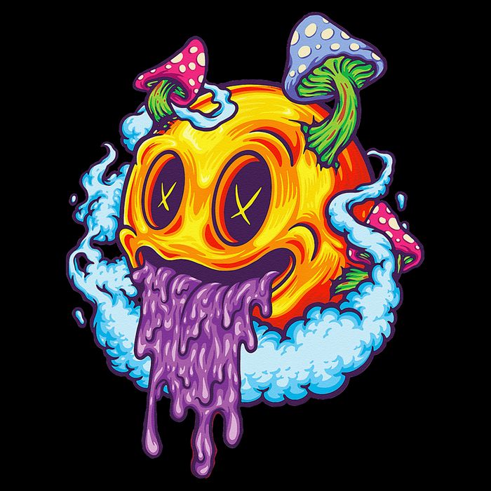 Goblincore Aesthetic Grunge Fungi Mushroom Skull Magnet