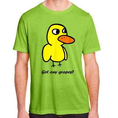 Got Any Grapes Adult ChromaSoft Performance T-Shirt