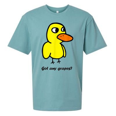 Got Any Grapes Sueded Cloud Jersey T-Shirt