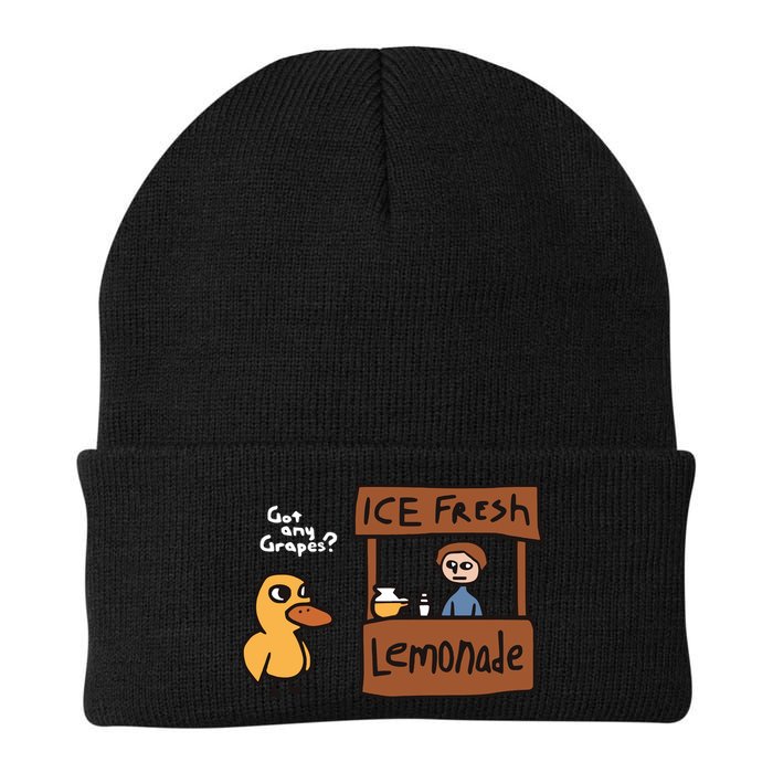 Got Any Grapes The Duck Song Funny Duck Beanie