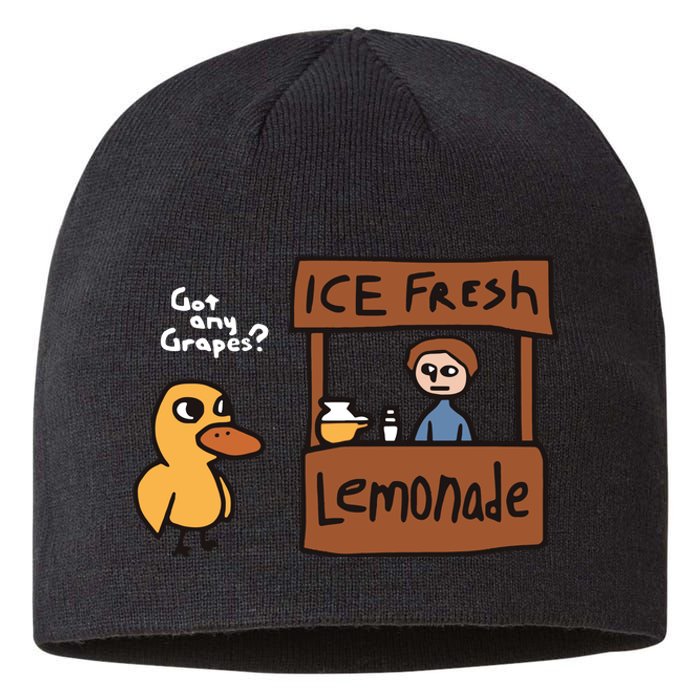 Got Any Grapes The Duck Song Funny Duck Sustainable Beanie