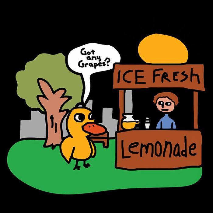Got Any Grapes Ice Fresh Lemonade Funny Duck Pom Pom 12in Knit Beanie