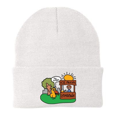 Got Any Grapes Ice Fresh Lemonade Funny Duck Beanie