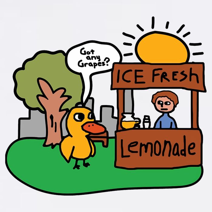 Got Any Grapes Ice Fresh Lemonade Funny Duck Short Acrylic Beanie