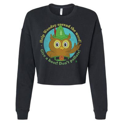 Give A Hoot Distressed And Faded Owl Cropped Pullover Crew