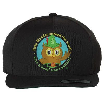 Give A Hoot Distressed And Faded Owl Wool Snapback Cap