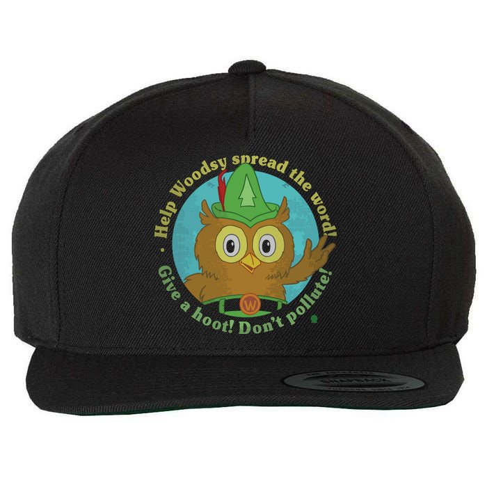Give A Hoot Distressed And Faded Owl Wool Snapback Cap