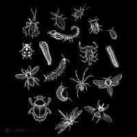Goblincore Aesthetic Insects Entomology Bugs Backpack
