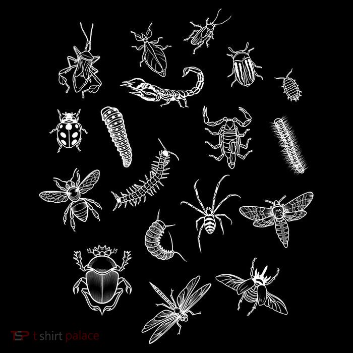 Goblincore Aesthetic Insects Entomology Bugs Poster