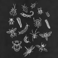 Goblincore Aesthetic Insects Entomology Bugs Golf Towel