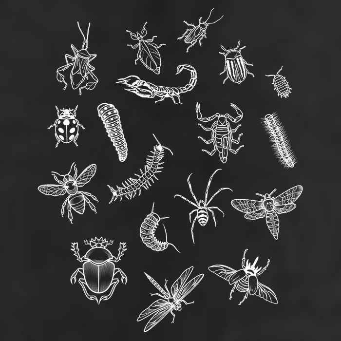 Goblincore Aesthetic Insects Entomology Bugs Golf Towel