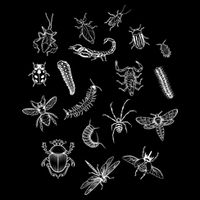 Goblincore Aesthetic Insects Entomology Bugs Zip Tote Bag
