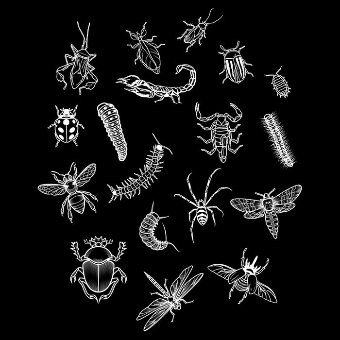 Goblincore Aesthetic Insects Entomology Bugs Zip Tote Bag