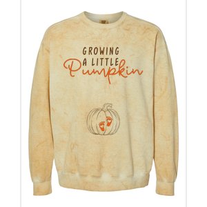 Growing A Little Pumpkin Fall Maternity Thanksgiving Baby Colorblast Crewneck Sweatshirt