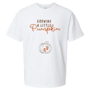 Growing A Little Pumpkin Fall Maternity Thanksgiving Baby Sueded Cloud Jersey T-Shirt