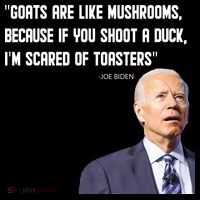 Goats Are Like Mushrooms...Funny Joe Biden Toddler T-Shirt
