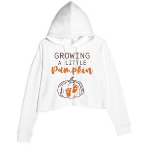 Growing A Little Pumpkin Pregnancy Reveal Thanksgiving Funny Crop Fleece Hoodie