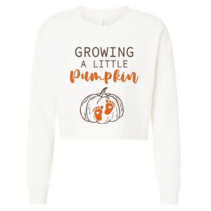 Growing A Little Pumpkin Pregnancy Reveal Thanksgiving Funny Cropped Pullover Crew