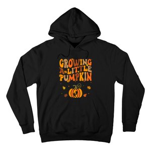 Growing A Little Pumpkin Thanksgiving Pregnancy Hoodie