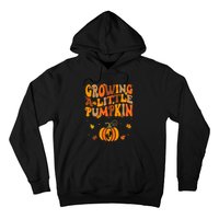 Growing A Little Pumpkin Thanksgiving Pregnancy Hoodie