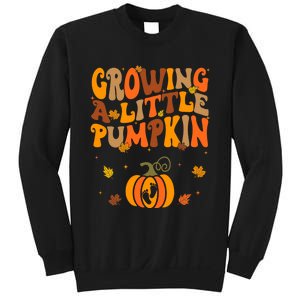 Growing A Little Pumpkin Thanksgiving Pregnancy Sweatshirt