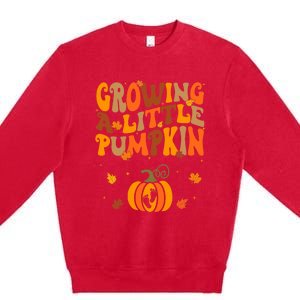 Growing A Little Pumpkin Thanksgiving Pregnancy Premium Crewneck Sweatshirt